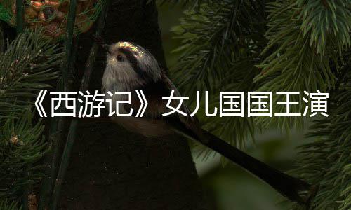 儿国朱琳西近照曝光国王女游记演员犹存风韵
